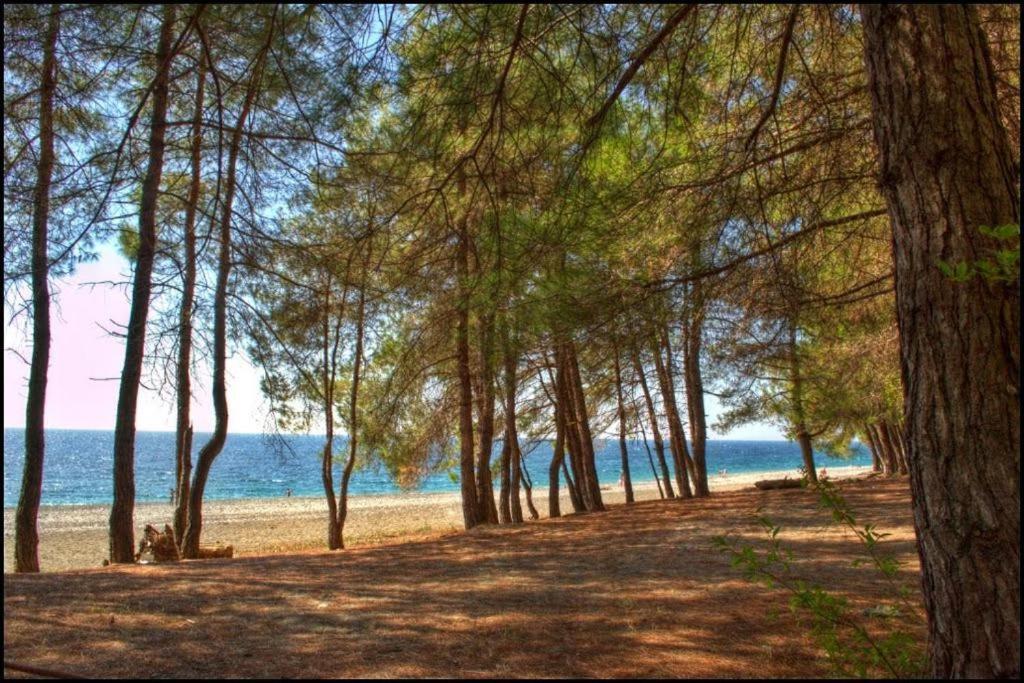 Коттеджные Домики Лдзаа Lidzava Экстерьер фото